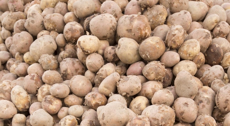 Mangaangebrek (mn) in aardappelen
