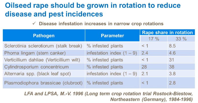 le colza devrait être cultivé en rotation pour réduire l'incidence des maladies et des ravageurs