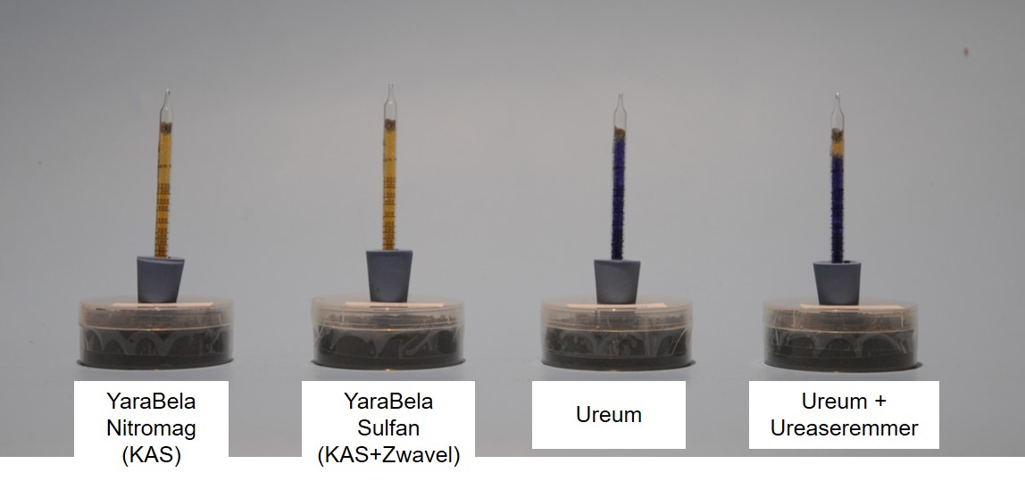 Figuur 2 Ammoniakuitstoot 11 dagen na toepassing.png