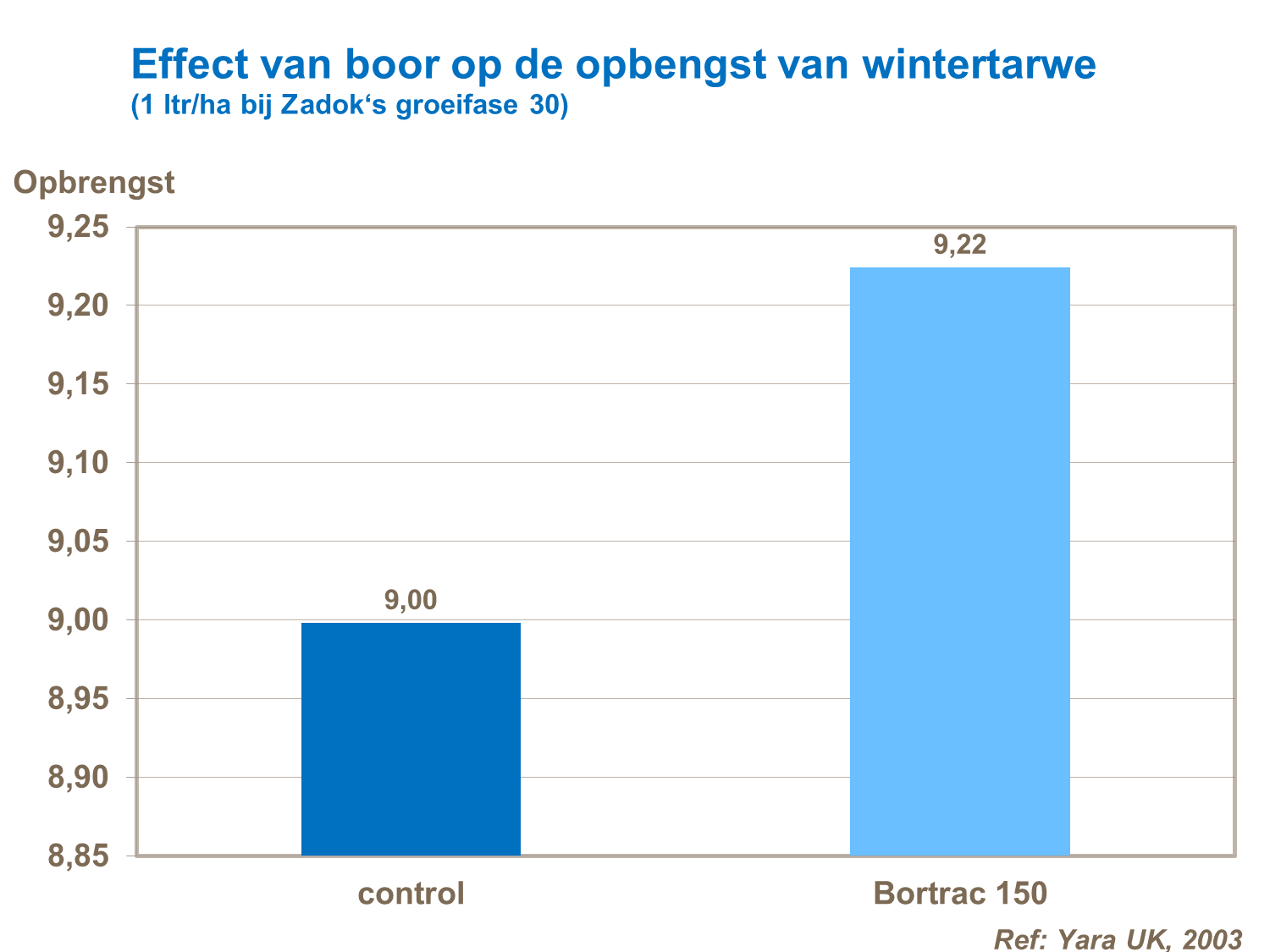 boor opbrengst wintertarwe