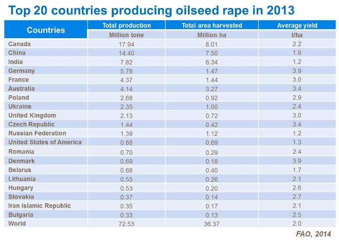 Top 20 des pays producteurs de colza en 2013