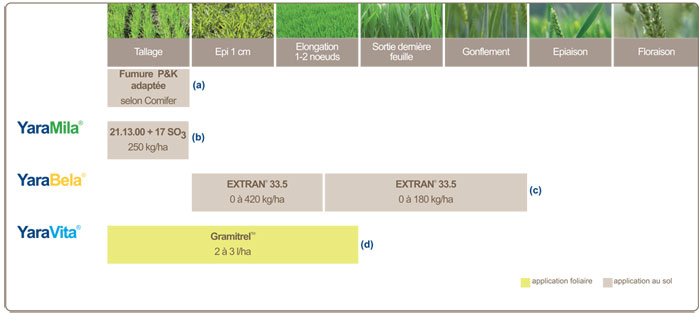 Plan de fertilisation du blé panifiable
