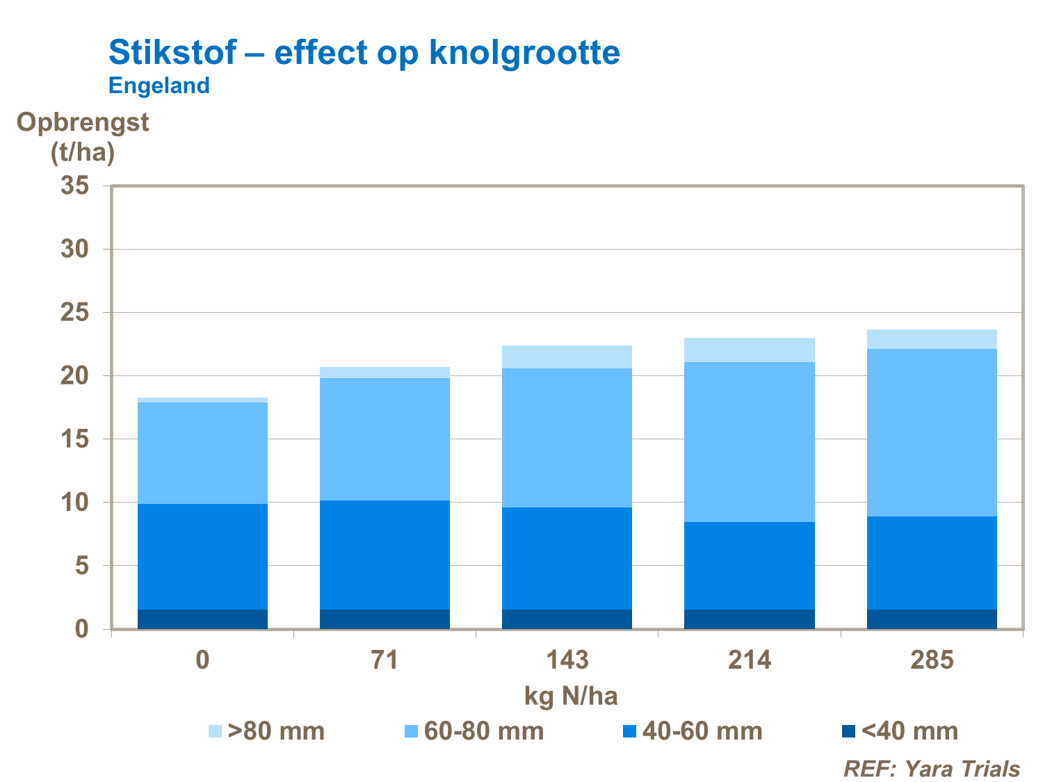 stikstof effect op knolgrootte