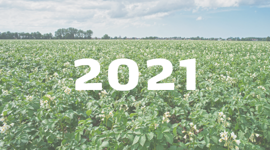 Jaaroverzicht artikelen 2021