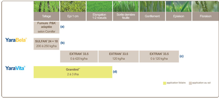 plan de fertilisation