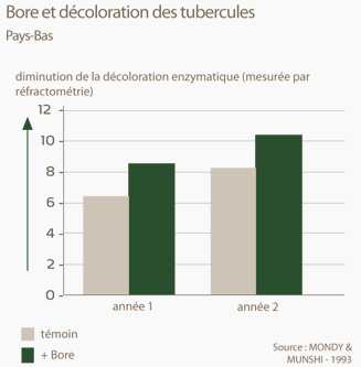 Potasse et décoloration du tubercule