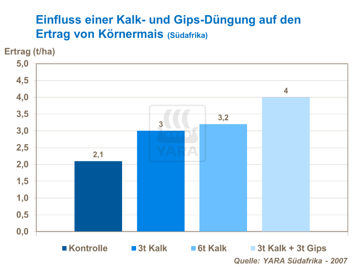 muss man kirschlorbeer düngen Kirschlorbeer Dünger von Flora Boost