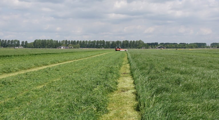 Zwavelgebrek (s) in grasland