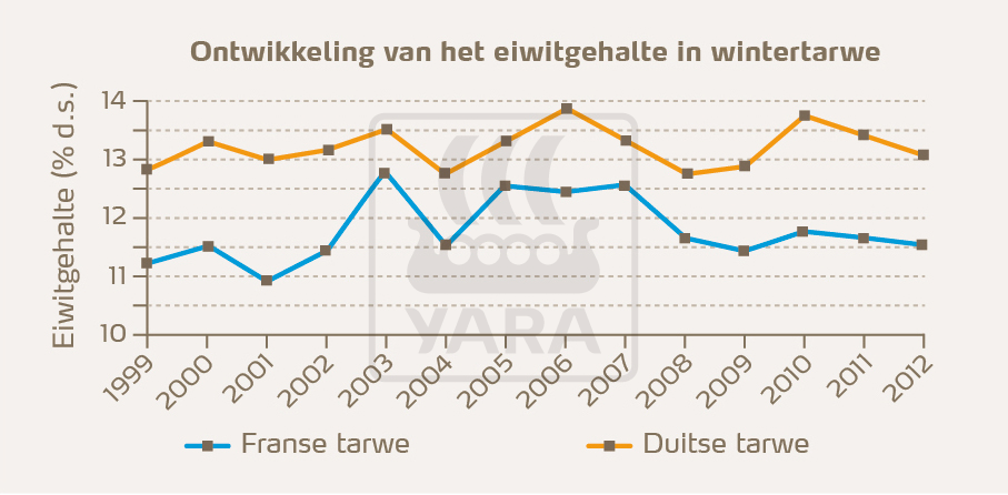 kwaliteit markten tarwe eiwit