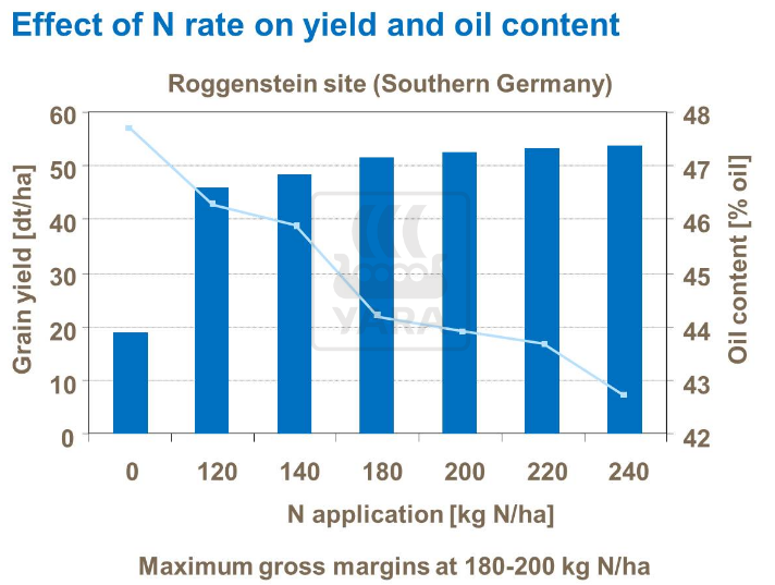 Effet de l'azote sur le rendement et sur la teneur en huile 