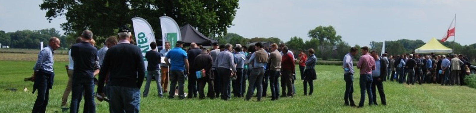 Limagrain grasdemodagen