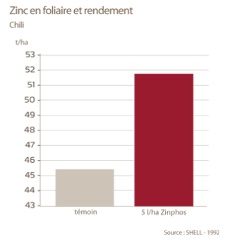 role du zinc