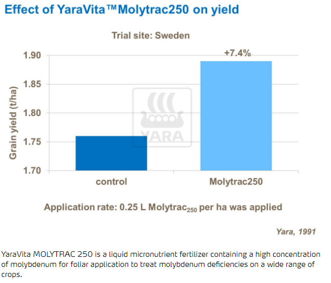 Effet de Yara Vita Molytrac250 sur le rendement