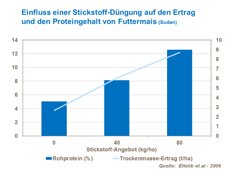 Einfluss einer Stickstoff-Düngung auf den Ertrag und den Proteingehalt von Futtermais (Sudan) 
