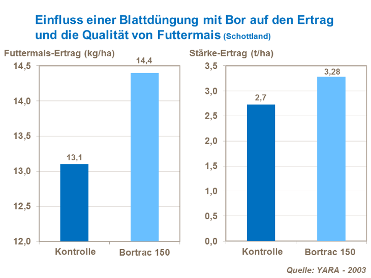 Einfluss einer Blattdüngung mit Bor auf den Ertrag und die Qualität von Futtermais (Schottland)