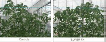 GLAS1902 Proef 2.png