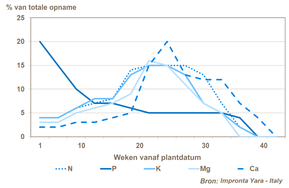 Opname van de belangrijkste elementen