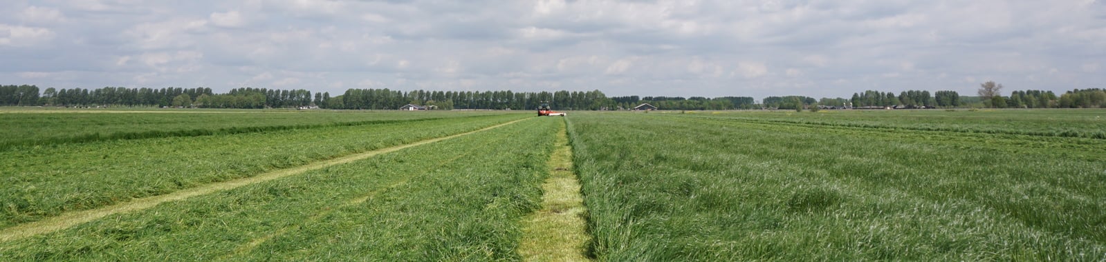 Stikstofgebrek (n) in grasland