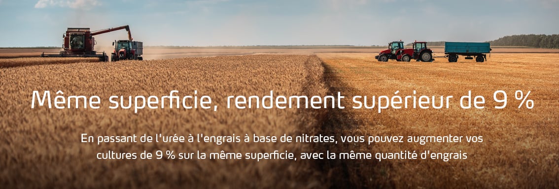 Même superficie, rendement supérieur de 9 %.jpg