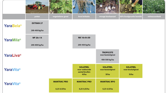 Plan de fertilisation du plant de pomme de terre | Yara Belgique