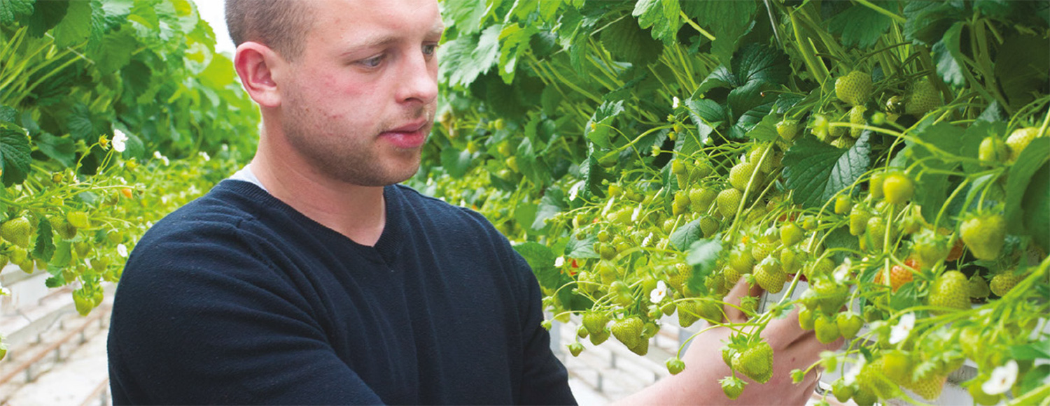 Nutrient Solutions